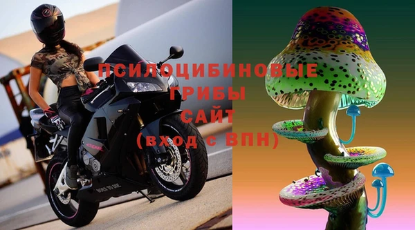 spice Алексин