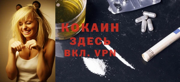 меф Няндома