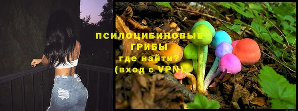 spice Алексин